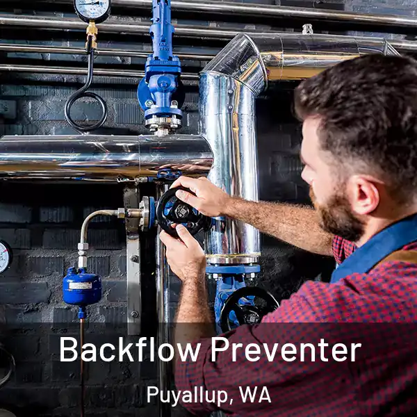  Backflow Preventer Puyallup, WA