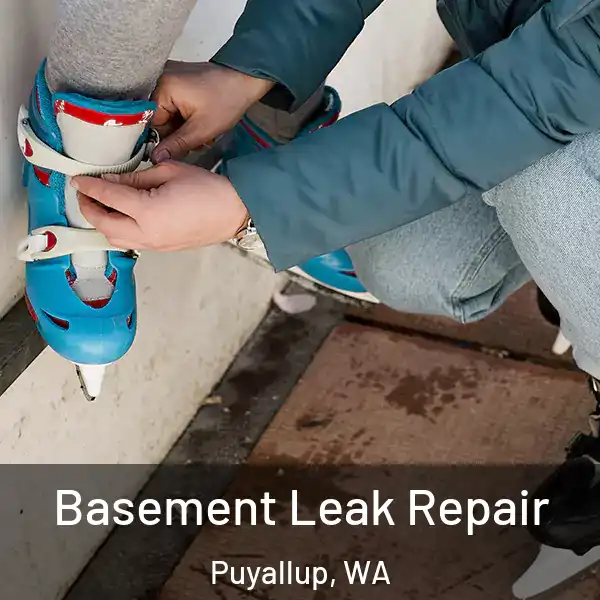  Basement Leak Repair Puyallup, WA