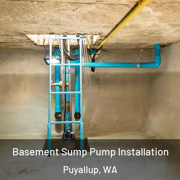 Basement Sump Pump Installation Puyallup, WA