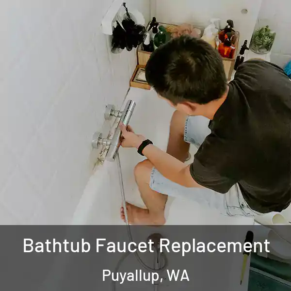  Bathtub Faucet Replacement Puyallup, WA