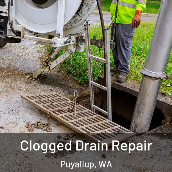  Clogged Drain Repair Puyallup, WA