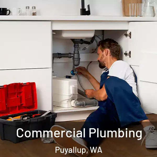  Commercial Plumbing Puyallup, WA