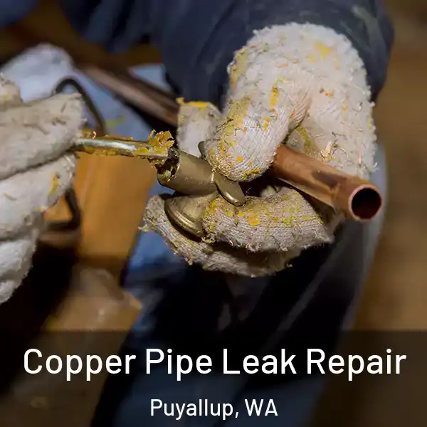  Copper Pipe Leak Repair Puyallup, WA
