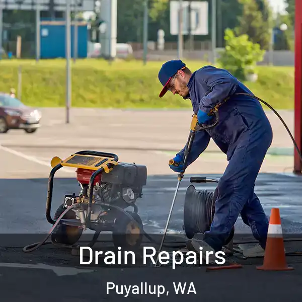  Drain Repairs Puyallup, WA