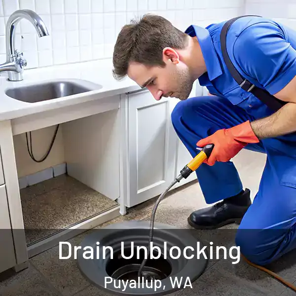  Drain Unblocking Puyallup, WA
