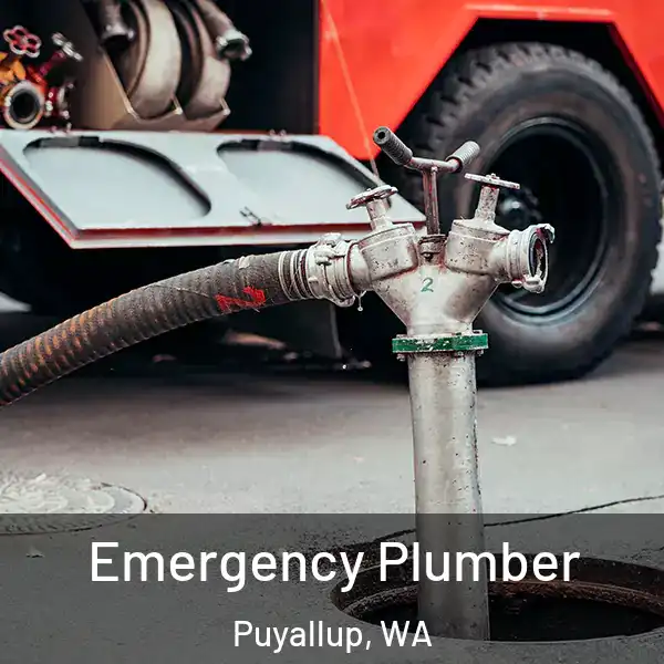  Emergency Plumber Puyallup, WA