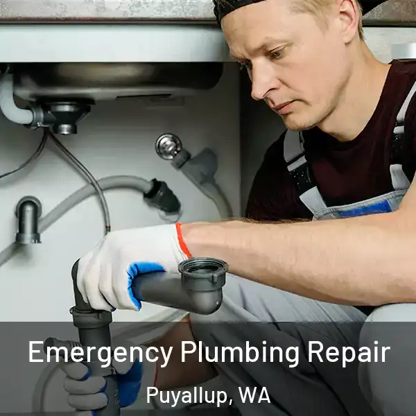  Emergency Plumbing Repair Puyallup, WA