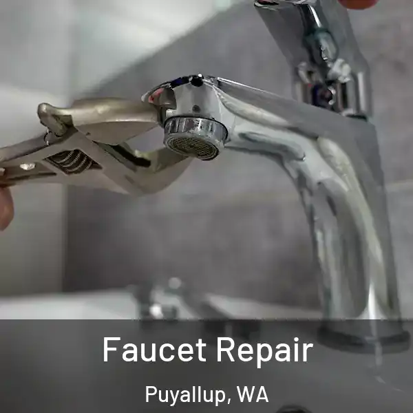  Faucet Repair Puyallup, WA