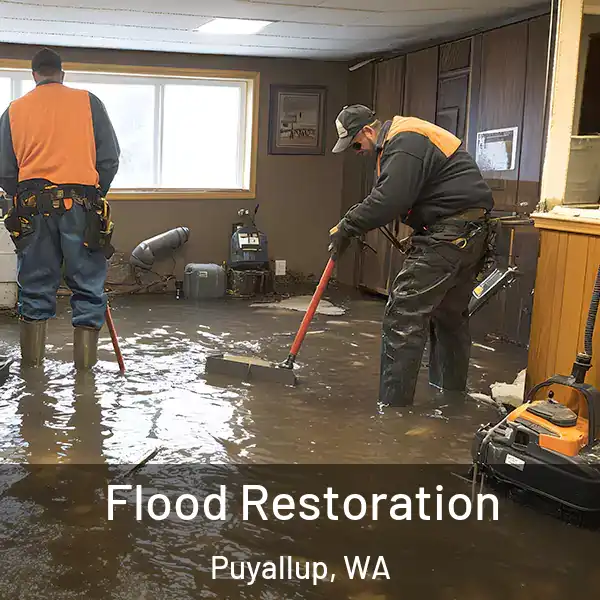  Flood Restoration Puyallup, WA