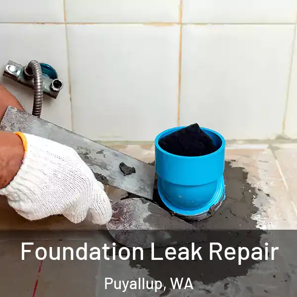  Foundation Leak Repair Puyallup, WA