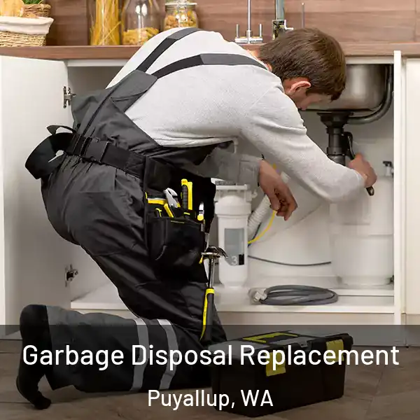 Garbage Disposal Replacement Puyallup, WA