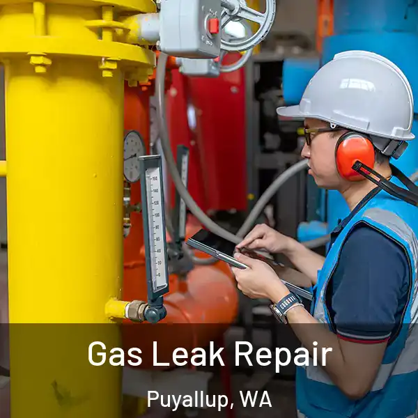  Gas Leak Repair Puyallup, WA