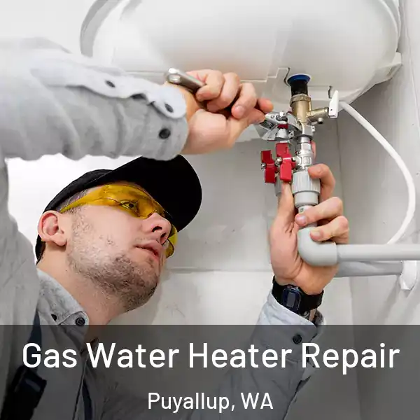  Gas Water Heater Repair Puyallup, WA