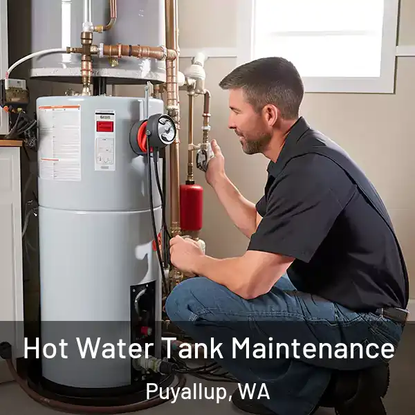  Hot Water Tank Maintenance Puyallup, WA