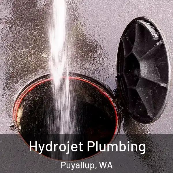  Hydrojet Plumbing Puyallup, WA