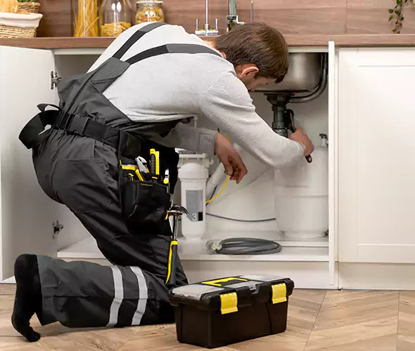 Certified Plumbers for Insinkerator Installation in Puyallup
