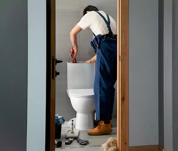 Professional Plumbers for Toilet Bowl Replacement in Puyallup, WA: Schedule Affordable Toilet Replacement Services With Us