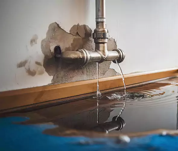 Professional Water Damage Restoration Experts in Puyallup, WA — Fast, Reliable & Certified
