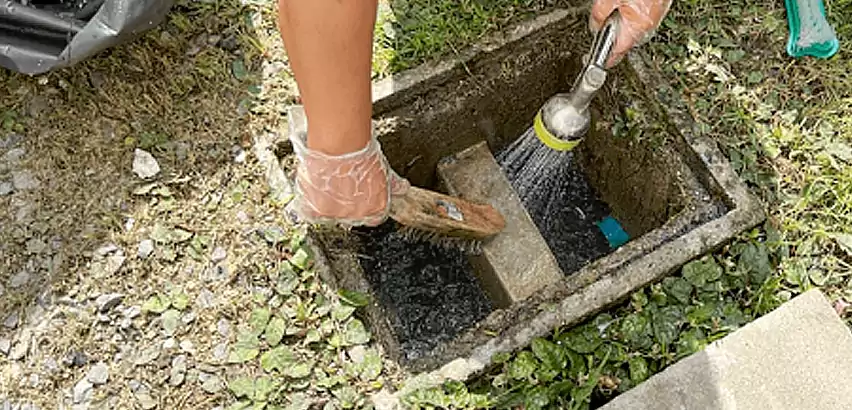 Professional Grease Trap Cleaning Services in Puyallup, WA