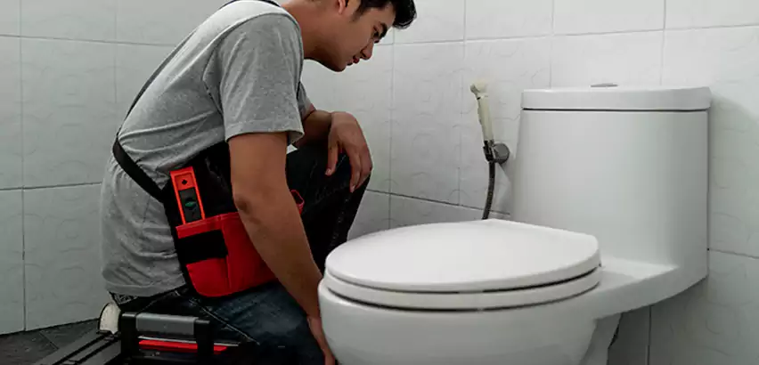 Toilet Repair in Puyallup