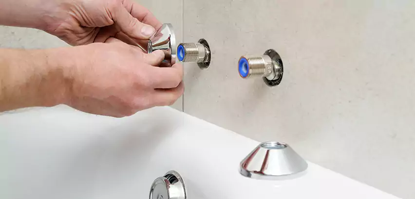 Bathtub Faucet Diverter Replacement in Puyallup