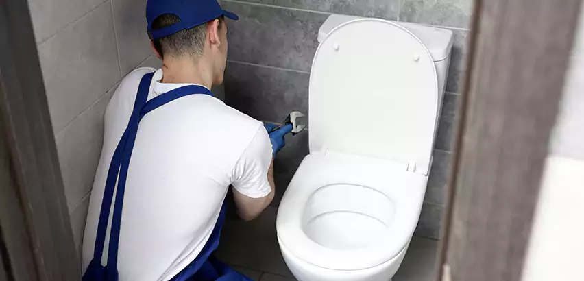 Toilet Lid Replacement in Puyallup