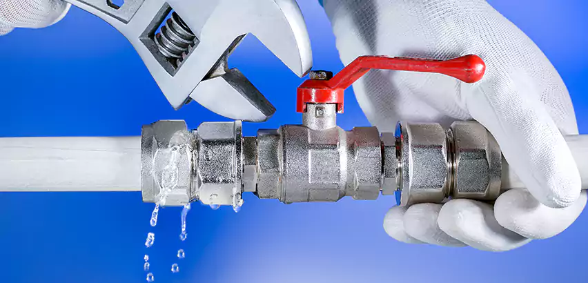 Water Line Repair in Puyallup, WA