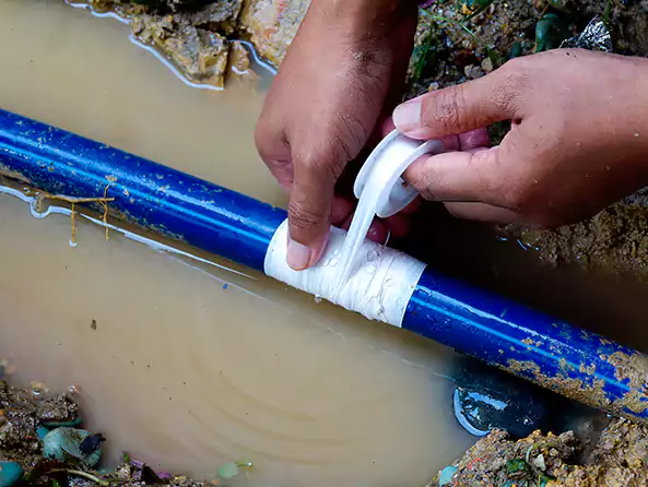  Why Choose Puyallup Plumbers Pro for Leak Detection in Puyallup, WA?]