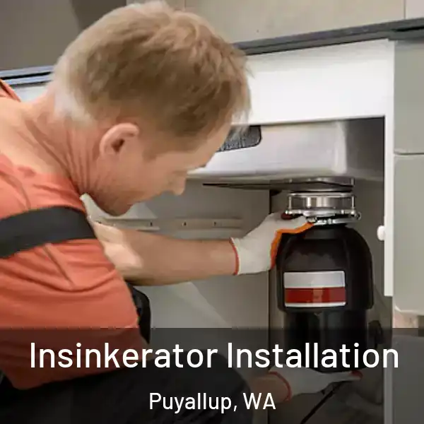  Insinkerator Installation Puyallup, WA