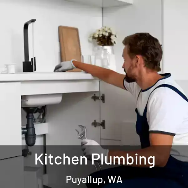  Kitchen Plumbing Puyallup, WA
