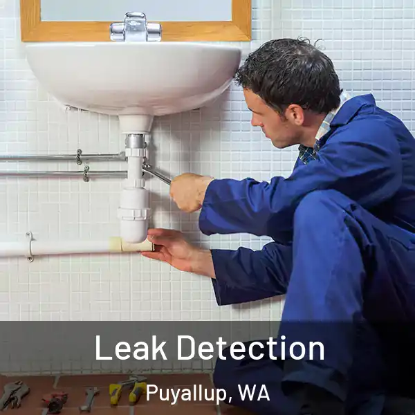  Leak Detection Puyallup, WA