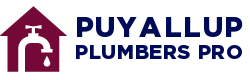 Puyallup Plumbers Pro