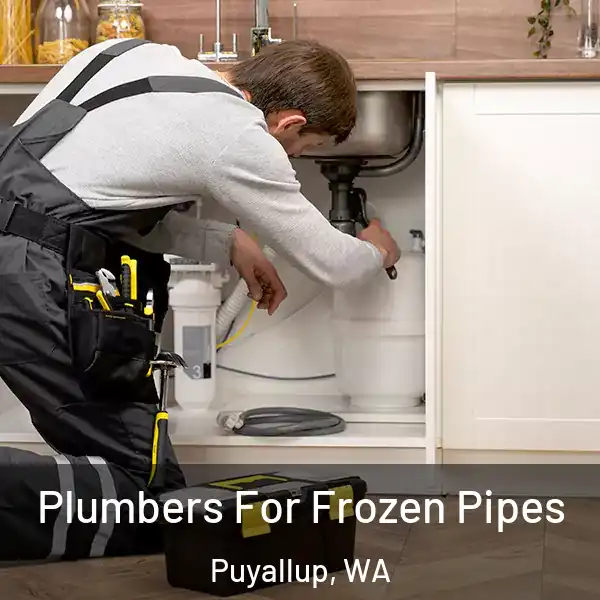  Plumbers For Frozen Pipes Puyallup, WA