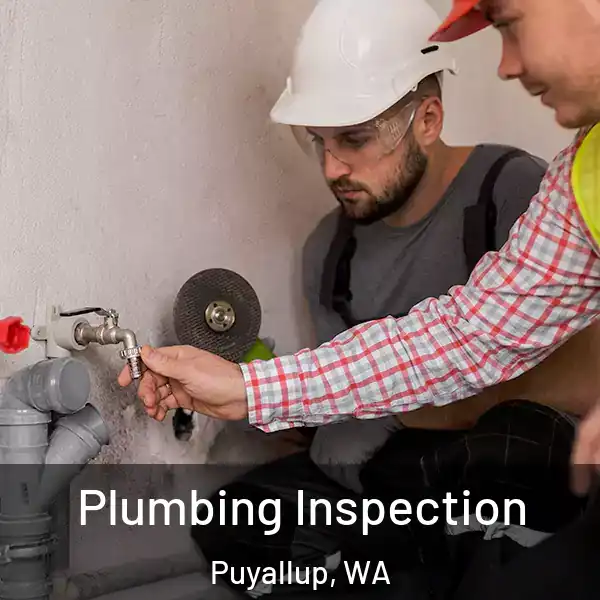  Plumbing Inspection Puyallup, WA