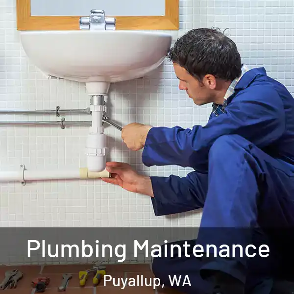  Plumbing Maintenance Puyallup, WA