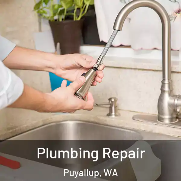  Plumbing Repair Puyallup, WA