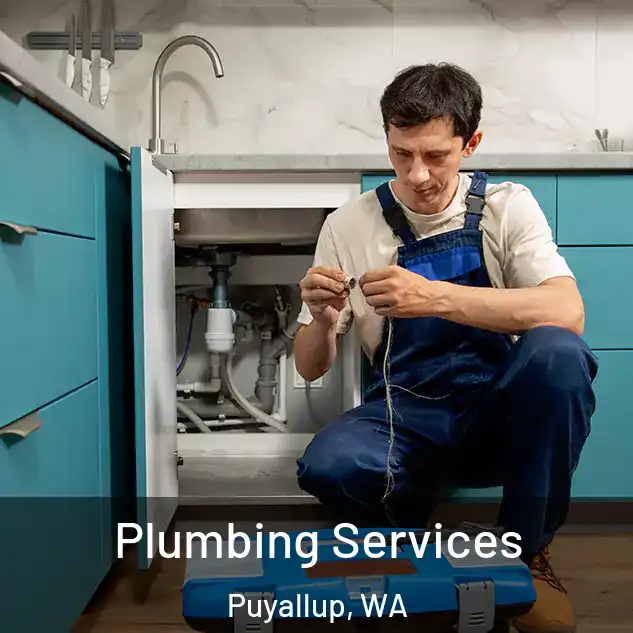 Plumbing Services Puyallup, WA