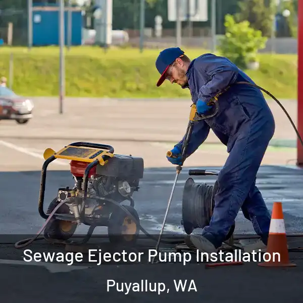  Sewage Ejector Pump Installation Puyallup, WA