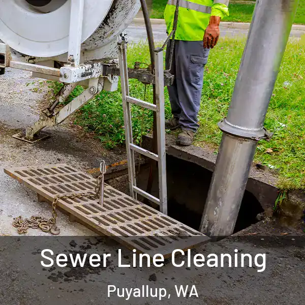  Sewer Line Cleaning Puyallup, WA