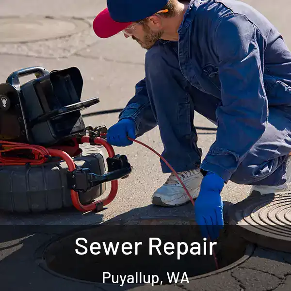  Sewer Repair Puyallup, WA
