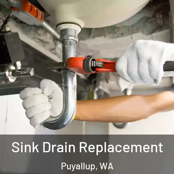  Sink Drain Replacement Puyallup, WA