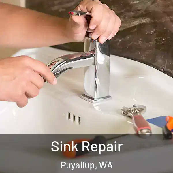  Sink Repair Puyallup, WA