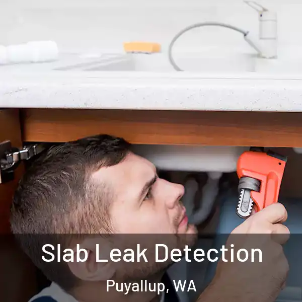  Slab Leak Detection Puyallup, WA
