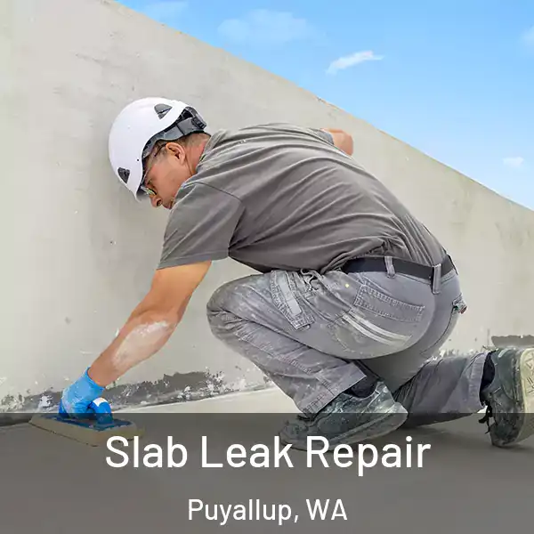  Slab Leak Repair Puyallup, WA