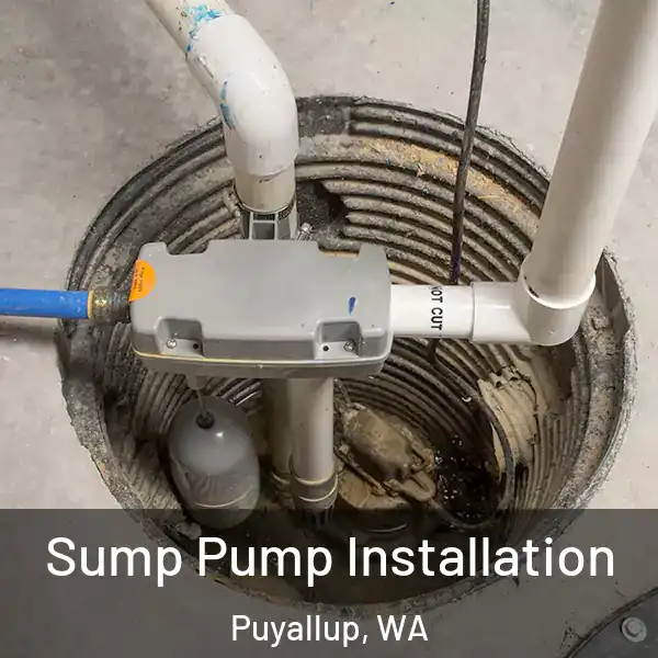  Sump Pump Installation Puyallup, WA