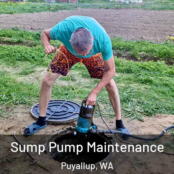 Sump Pump Maintenance Puyallup, WA