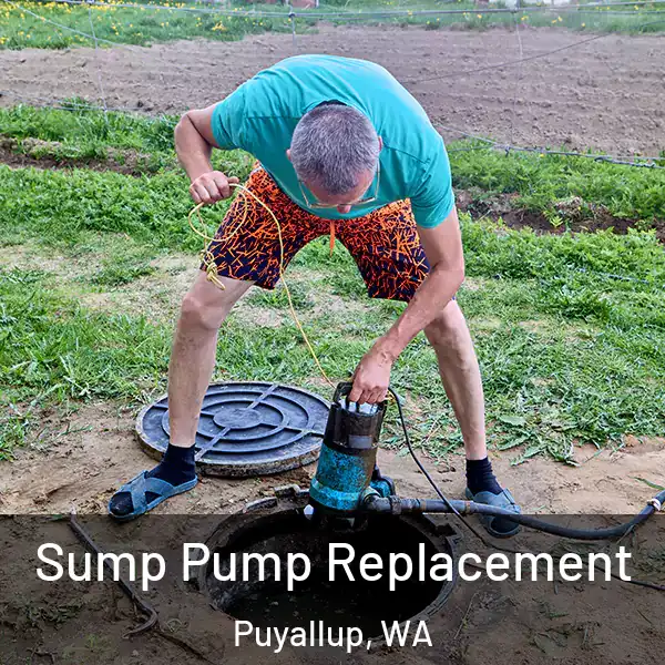  Sump Pump Replacement Puyallup, WA