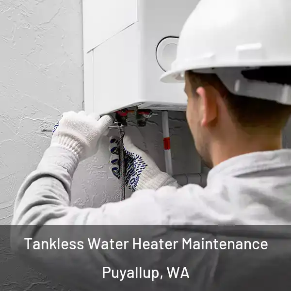  Tankless Water Heater Maintenance Puyallup, WA