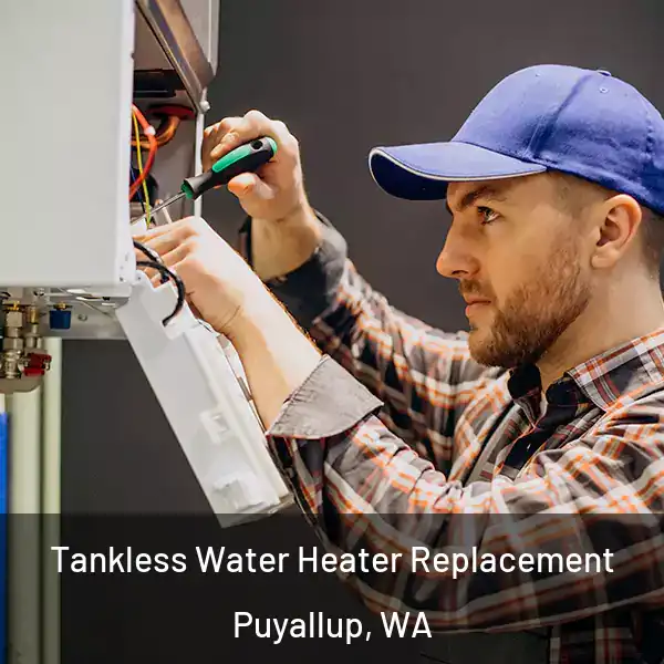 Tankless Water Heater Replacement Puyallup, WA