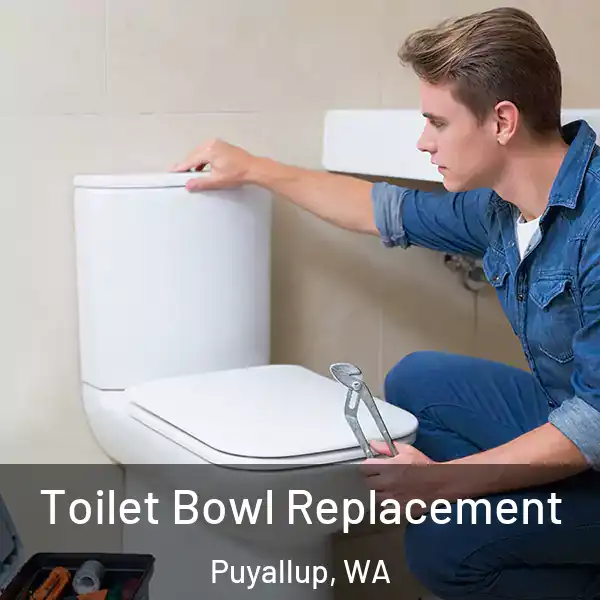  Toilet Bowl Replacement Puyallup, WA